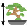 wysokości-bonsai